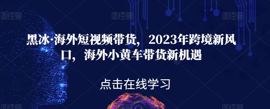 黑冰·海外短视频带货，2023年跨境新风口，海外小黄车带货新机遇_豪客资源库