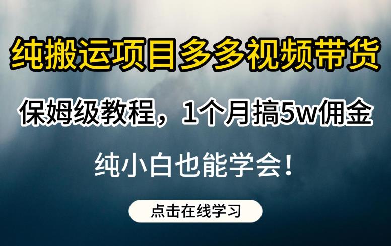 纯搬运项目多多视频带货保姆级教程，1个月搞5w佣金，纯小白也能学会【揭秘】_豪客资源库