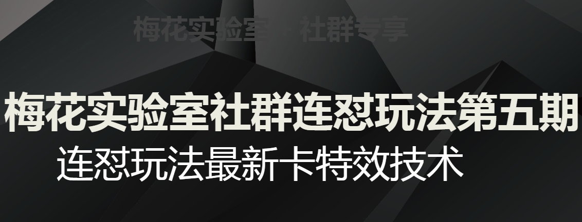 梅花实验室社群连怼玩法第五期，视频号连怼玩法最新卡特效技术_豪客资源库