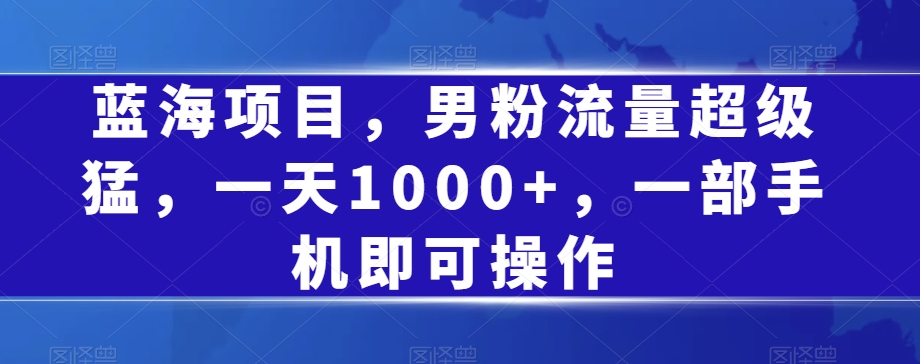 蓝海项目，男粉流量超级猛，一天1000+，一部手机即可操作【揭秘】_豪客资源库