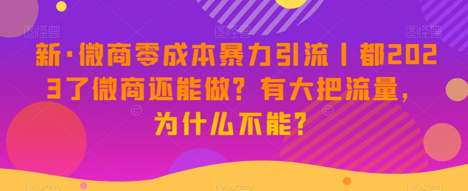 新·微商零成本暴力引流丨都2023了微商还能做？有大把流量，为什么不能？_豪客资源库