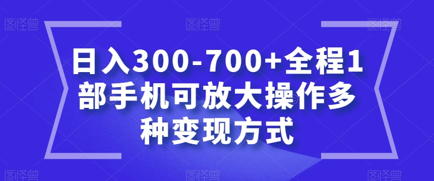 日入300-700+全程1部手机可放大操作多种变现方式【揭秘】_豪客资源库