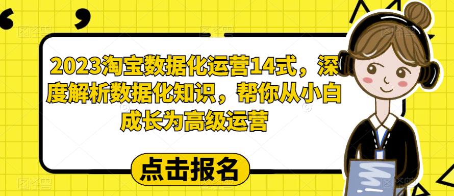 2023淘宝数据化运营14式，深度解析数据化知识，帮你从小白成长为高级运营_豪客资源库