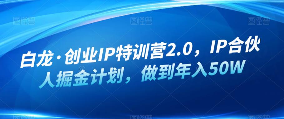 白龙·创业IP特训营2.0，IP合伙人掘金计划，做到年入50W_豪客资源库