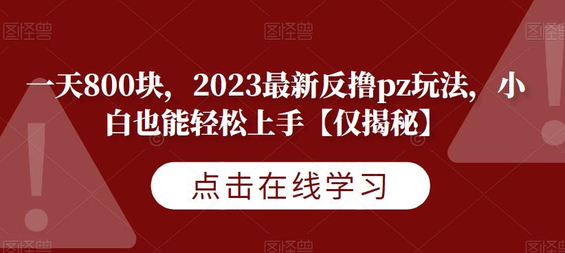 一天800块，2023最新反撸pz玩法，小白也能轻松上手【仅揭秘】_豪客资源库