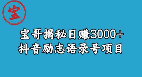 宝哥揭秘日赚3000+抖音励志语录号短视频变现项目_豪客资源库