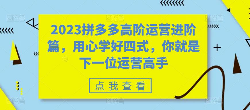 2023拼多多高阶运营进阶篇，用心学好四式，你就是下一位运营高手_豪客资源库