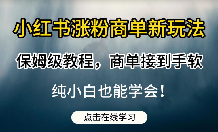 小红书涨粉商单新玩法，保姆级教程，商单接到手软，纯小白也能学会【揭秘】_豪客资源库