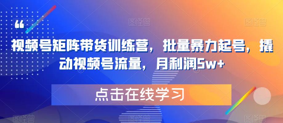 视频号矩阵带货训练营，批量暴力起号，撬动视频号流量，月利润5w+_豪客资源库