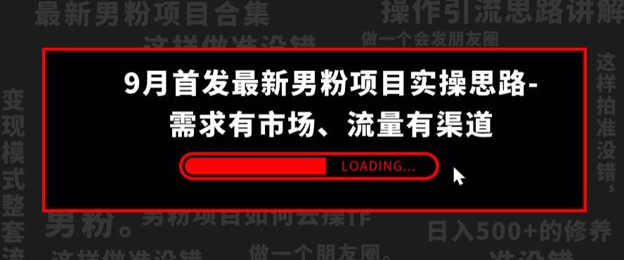 9月首发最新男粉项目实操思路-需求有市场，流量有渠道【揭秘】_豪客资源库