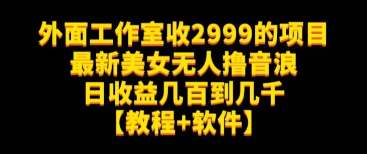 外面工作室收2999的项目最新美女无人撸音浪日收益几百到几千【教程+软件】（仅揭秘）_豪客资源库