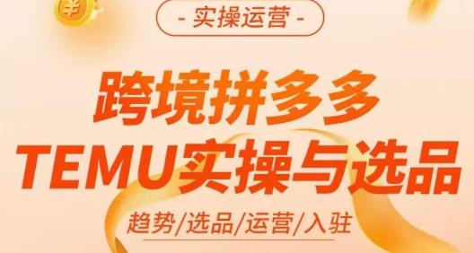 伍跃·跨境拼多多TEMU实操与选品，​趋势/选品/运营/入住（27节完整）_豪客资源库