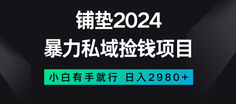 暴力私域捡钱项目，小白无脑操作，日入2980【揭秘】_豪客资源库