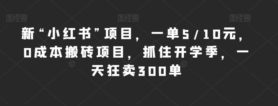 新“小红书”项目，一单5/10元，0成本搬砖项目，抓住开学季，一天狂卖300单【揭秘】_豪客资源库