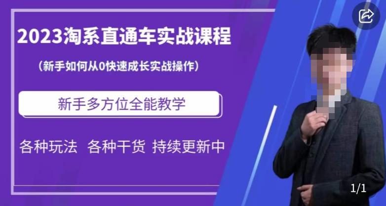 2023淘系直通车保姆式运营讲解，新手如何从0快速成长实战操作，新手多方位全能教学_豪客资源库