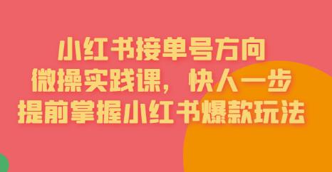 接单号方向·小红书微操实践课，快人一步，提前掌握小红书爆款玩法_豪客资源库