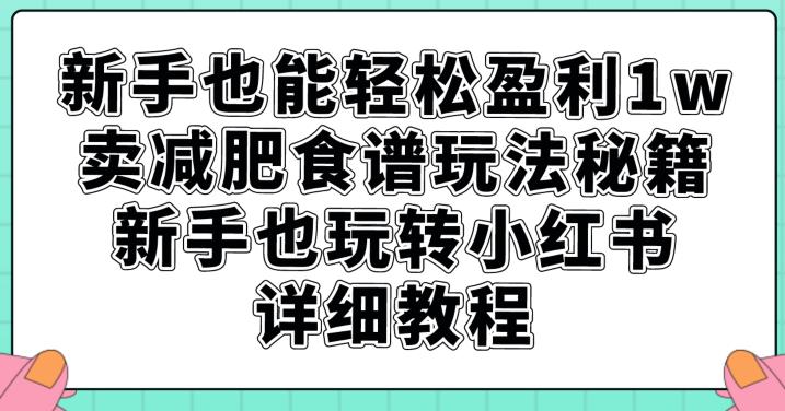 新手也能轻松盈利1w，卖减肥食谱玩法秘籍，新手也玩转小红书详细教程【揭秘】_豪客资源库