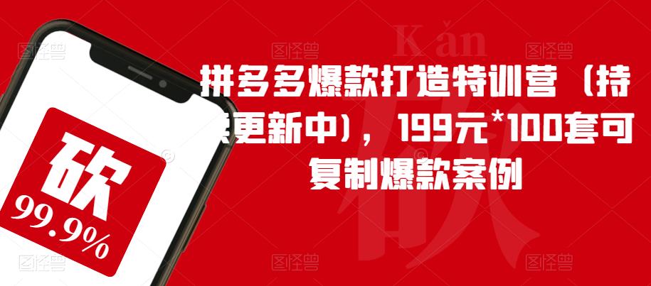 拼多多爆款打造特训营（持续更新中)，199元*100套可复制爆款案例_豪客资源库