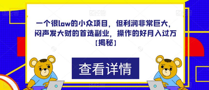 一个很low的小众项目，但利润非常巨大，闷声发大财的首选副业，操作的好月入过万【揭秘】_豪客资源库