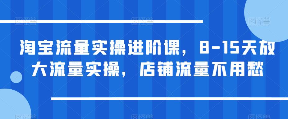 淘宝流量实操进阶课，8-15天放大流量实操，店铺流量不用愁_豪客资源库