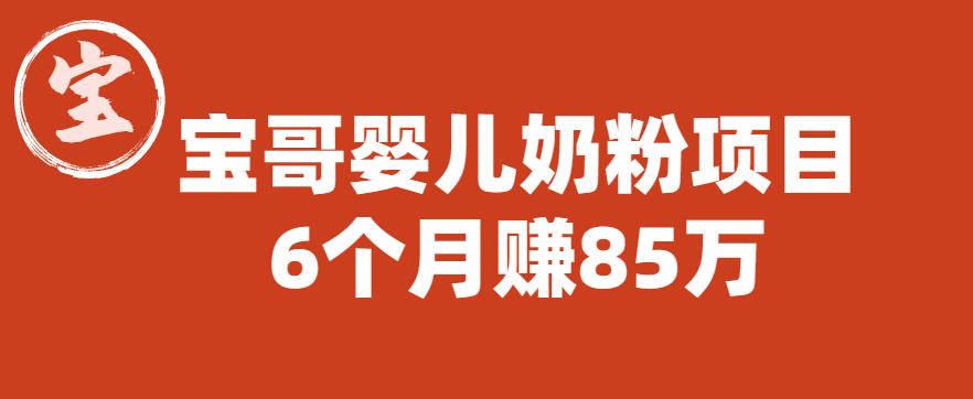 宝哥婴儿奶粉项目，6个月赚85w【图文非视频】【揭秘】_豪客资源库