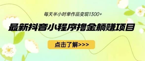 最新抖音小程序撸金躺赚项目，一部手机每天半小时，单个作品变现1300+【揭秘】_豪客资源库