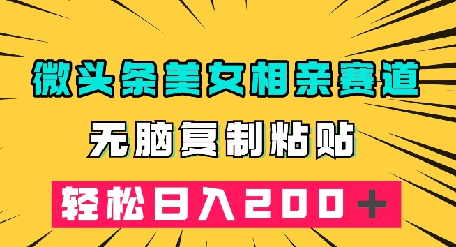 微头条冷门美女相亲赛道，无脑复制粘贴，轻松日入200＋【揭秘】_豪客资源库