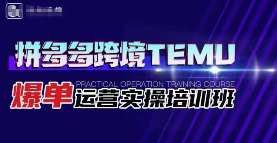 拼多多跨境TEMU爆单运营实操培训班，海外拼多多的选品、运营、爆单_豪客资源库