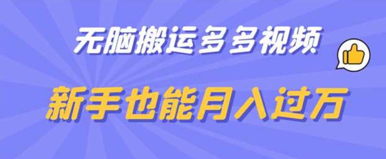 无脑搬运多多视频，新手也能月入过万【揭秘】_豪客资源库