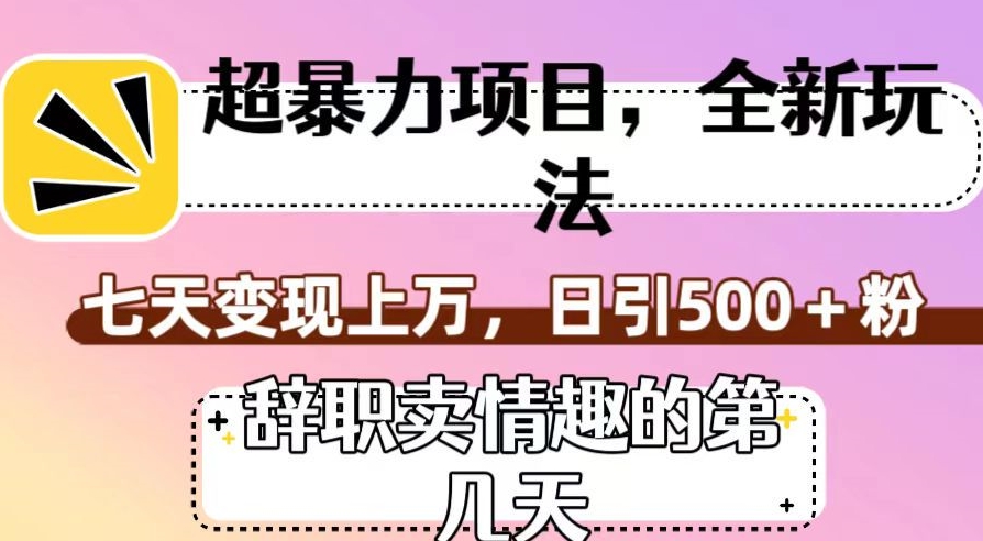 超暴利项目，全新玩法（辞职卖情趣的第几天），七天变现上万，日引500+粉【揭秘】_豪客资源库