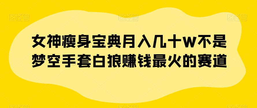 女神瘦身宝典月入几十W不是梦空手套白狼赚钱最火的赛道【揭秘】_豪客资源库