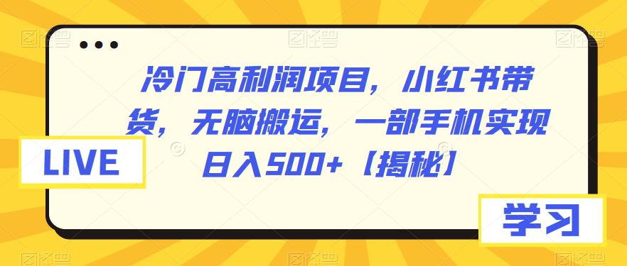 冷门高利润项目，小红书带货，无脑搬运，一部手机实现日入500+【揭秘】_豪客资源库