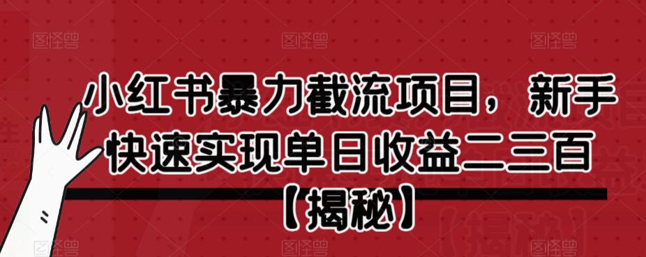 小红书暴力截流项目，新手快速实现单日收益二三百【仅揭秘】_豪客资源库