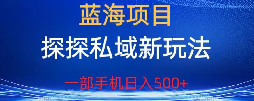 蓝海项目，探探私域新玩法，一部手机日入500+很轻松【揭秘】_豪客资源库