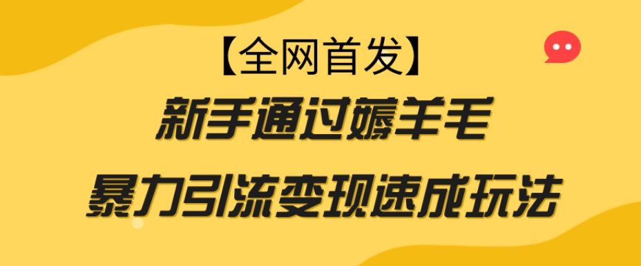 【全网首发】新手通过薅羊毛暴力引流变现速成玩法_豪客资源库