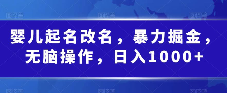 婴儿起名改名，暴力掘金，无脑操作，日入1000+【揭秘】_豪客资源库