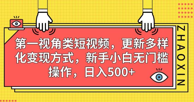 第一视角类短视频，更新多样化变现方式，新手小白无门槛操作，日入500+【揭秘】_豪客资源库