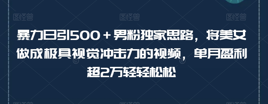 暴力日引500＋男粉独家思路，将美女做成极具视觉冲击力的视频，单月盈利超2万轻轻松松_豪客资源库