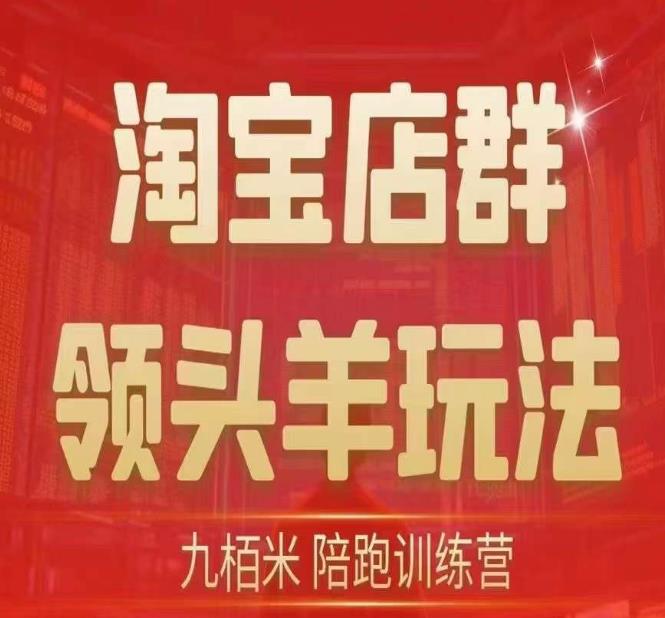 九栢米-淘宝店群领头羊玩法，教你整个淘宝店群领头羊玩法以及精细化/终极蓝海/尾销等内容_豪客资源库