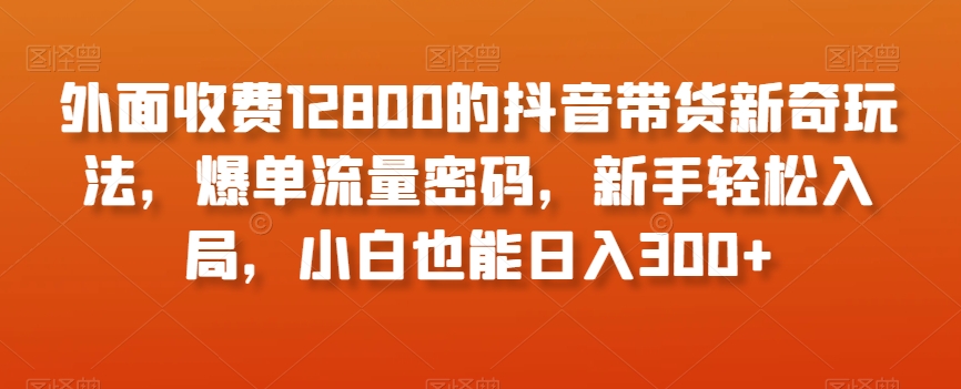 外面收费12800的抖音带货新奇玩法，爆单流量密码，新手轻松入局，小白也能日入300+【揭秘】_豪客资源库