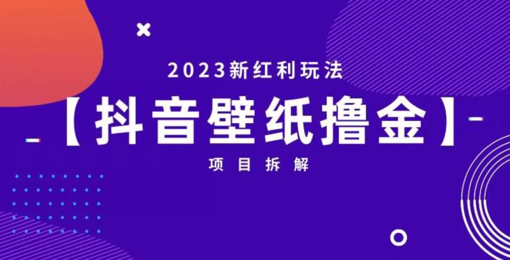 抖音壁纸小程序创作者撸金项目，2023新红利玩法【项目拆解】_豪客资源库