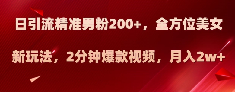 日引流精准男粉200+，全方位美女新玩法，2分钟爆款视频，月入2w+【揭秘】_豪客资源库