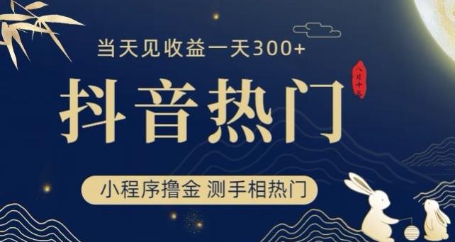 抖音最新小程序撸金，测手相上热门，当天见收益一小时变现300+【揭秘】_豪客资源库