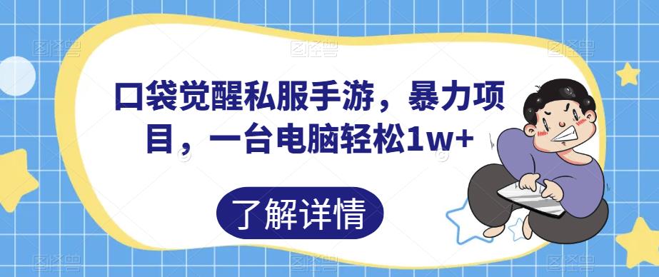 口袋觉醒私服手游，暴力项目，一台电脑轻松1w+【揭秘】_豪客资源库