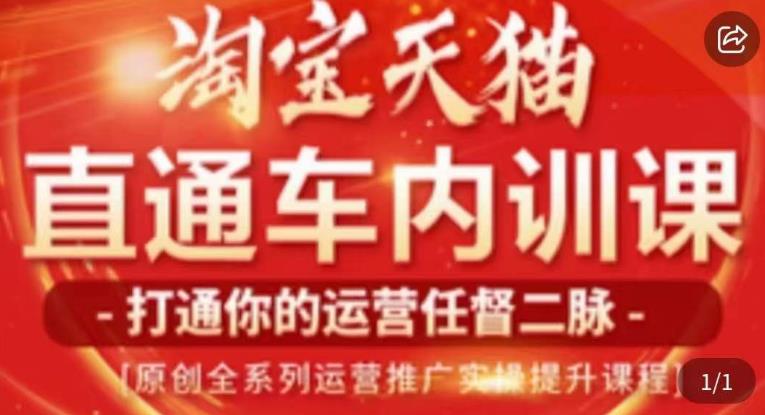 天问电商·2023淘宝天猫直通车内训课，零基础学起直通车运营实操课程_豪客资源库