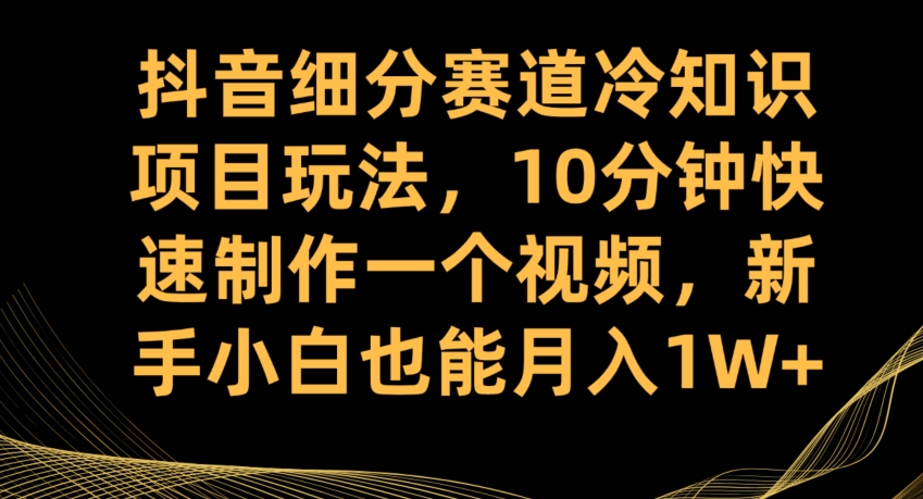 抖音细分赛道冷知识项目玩法，10分钟快速制作一个视频，新手小白也能月入1W+【揭秘】_豪客资源库