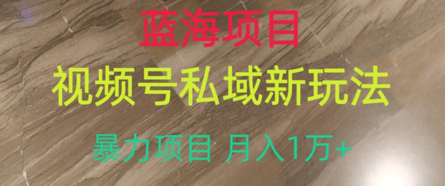 蓝海项目，视频号私域新玩法，暴力项目月入1万+【揭秘】_豪客资源库