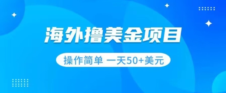 撸美金项目无门槛操作简单小白一天50+美刀_豪客资源库