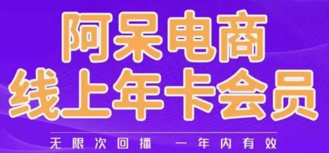 阿呆电商线上年会员，阿呆电商干货分享（更新中）_豪客资源库