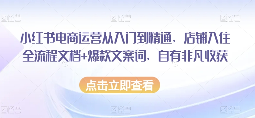 小红书电商运营从入门到精通，店铺入住全流程文档+爆款文案词，自有非凡收获_豪客资源库